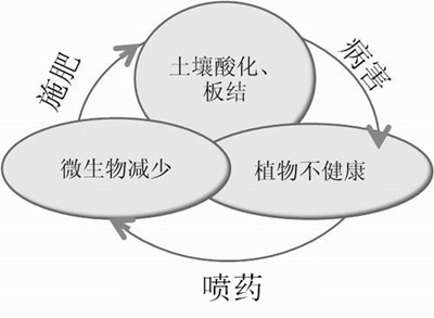 化肥不等于科學(xué)，請(qǐng)客觀評(píng)判！